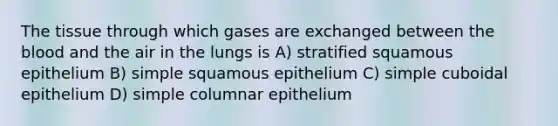 The tissue through which gases are exchanged between the blood and the air in the lungs is A) stratified squamous epithelium B) simple squamous epithelium C) simple cuboidal epithelium D) simple columnar epithelium