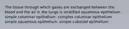 The tissue through which gases are exchanged between the blood and the air in the lungs is stratified squamous epithelium . simple columnar epithelium. complex columnar epithelium simple squamous epithelium. simple cuboidal epithelium