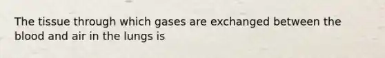 The tissue through which gases are exchanged between the blood and air in the lungs is