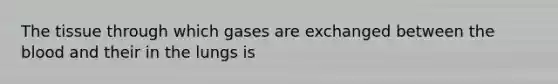 The tissue through which gases are exchanged between the blood and their in the lungs is