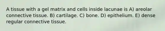 A tissue with a gel matrix and cells inside lacunae is A) areolar connective tissue. B) cartilage. C) bone. D) epithelium. E) dense regular connective tissue.