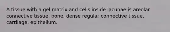 A tissue with a gel matrix and cells inside lacunae is areolar connective tissue. bone. dense regular connective tissue. cartilage. epithelium.