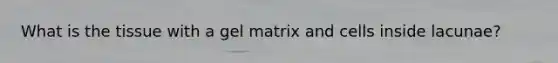 What is the tissue with a gel matrix and cells inside lacunae?