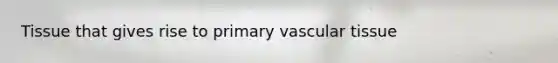 Tissue that gives rise to primary vascular tissue