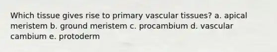 Which tissue gives rise to primary vascular tissues? a. apical meristem b. ground meristem c. procambium d. vascular cambium e. protoderm