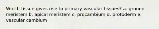 Which tissue gives rise to primary vascular tissues? a. ground meristem b. apical meristem c. procambium d. protoderm e. vascular cambium