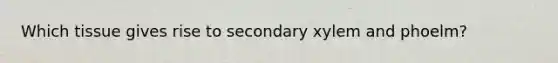 Which tissue gives rise to secondary xylem and phoelm?
