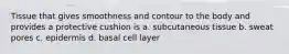 Tissue that gives smoothness and contour to the body and provides a protective cushion is a. subcutaneous tissue b. sweat pores c. epidermis d. basal cell layer