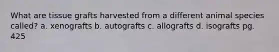 What are tissue grafts harvested from a different animal species called? a. xenografts b. autografts c. allografts d. isografts pg. 425