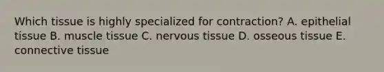 Which tissue is highly specialized for contraction? A. epithelial tissue B. muscle tissue C. nervous tissue D. osseous tissue E. connective tissue