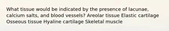 What tissue would be indicated by the presence of lacunae, calcium salts, and blood vessels? Areolar tissue Elastic cartilage Osseous tissue Hyaline cartilage Skeletal muscle