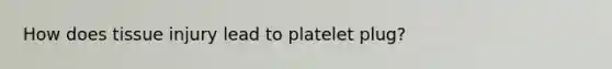 How does tissue injury lead to platelet plug?