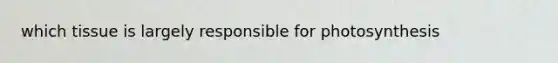 which tissue is largely responsible for photosynthesis