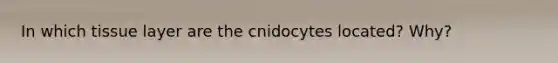 In which tissue layer are the cnidocytes located? Why?