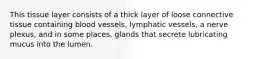 This tissue layer consists of a thick layer of loose connective tissue containing blood vessels, lymphatic vessels, a nerve plexus, and in some places, glands that secrete lubricating mucus into the lumen.