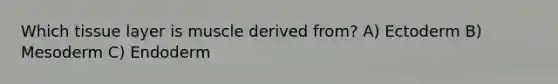 Which tissue layer is muscle derived from? A) Ectoderm B) Mesoderm C) Endoderm