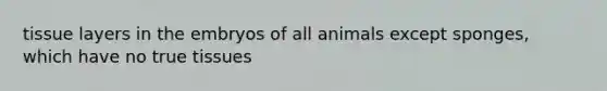 tissue layers in the embryos of all animals except sponges, which have no true tissues