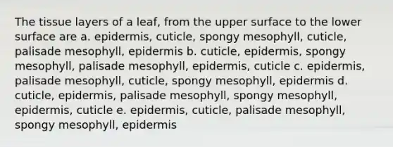 The tissue layers of a leaf, from the upper surface to the lower surface are a. epidermis, cuticle, spongy mesophyll, cuticle, palisade mesophyll, epidermis b. cuticle, epidermis, spongy mesophyll, palisade mesophyll, epidermis, cuticle c. epidermis, palisade mesophyll, cuticle, spongy mesophyll, epidermis d. cuticle, epidermis, palisade mesophyll, spongy mesophyll, epidermis, cuticle e. epidermis, cuticle, palisade mesophyll, spongy mesophyll, epidermis