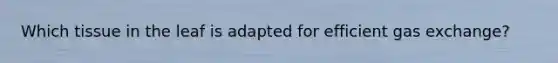 Which tissue in the leaf is adapted for efficient gas exchange?