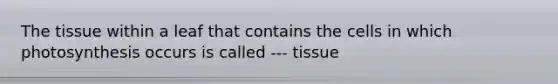 The tissue within a leaf that contains the cells in which photosynthesis occurs is called --- tissue