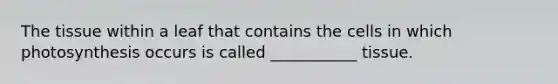 The tissue within a leaf that contains the cells in which photosynthesis occurs is called ___________ tissue.