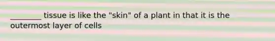 ________ tissue is like the "skin" of a plant in that it is the outermost layer of cells