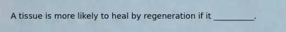 A tissue is more likely to heal by regeneration if it __________.