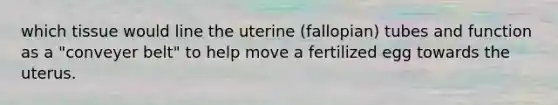 which tissue would line the uterine (fallopian) tubes and function as a "conveyer belt" to help move a fertilized egg towards the uterus.