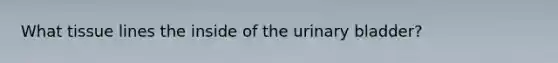 What tissue lines the inside of the urinary bladder?