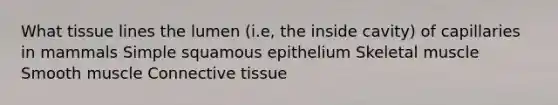 What tissue lines the lumen (i.e, the inside cavity) of capillaries in mammals Simple squamous epithelium Skeletal muscle Smooth muscle Connective tissue