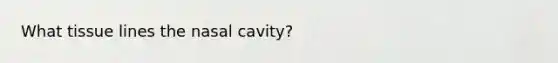 What tissue lines the nasal cavity?