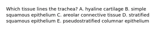 Which tissue lines the trachea? A. hyaline cartilage B. simple squamous epithelium C. areolar <a href='https://www.questionai.com/knowledge/kYDr0DHyc8-connective-tissue' class='anchor-knowledge'>connective tissue</a> D. stratified squamous epithelium E. pseudostratified columnar epithelium