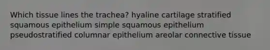 Which tissue lines the trachea? hyaline cartilage stratified squamous epithelium simple squamous epithelium pseudostratified columnar epithelium areolar connective tissue