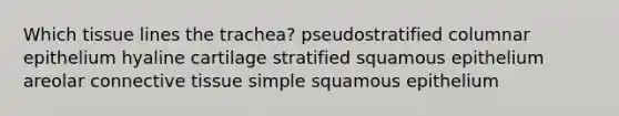 Which tissue lines the trachea? pseudostratified columnar epithelium hyaline cartilage stratified squamous epithelium areolar connective tissue simple squamous epithelium