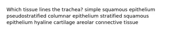 Which tissue lines the trachea? simple squamous epithelium pseudostratified columnar epithelium stratified squamous epithelium hyaline cartilage areolar connective tissue