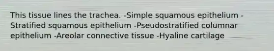 This tissue lines the trachea. -Simple squamous epithelium -Stratified squamous epithelium -Pseudostratified columnar epithelium -Areolar connective tissue -Hyaline cartilage