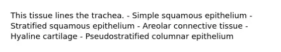 This tissue lines the trachea. - Simple squamous epithelium - Stratified squamous epithelium - Areolar connective tissue - Hyaline cartilage - Pseudostratified columnar epithelium