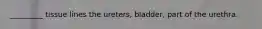 _________ tissue lines the ureters, bladder, part of the urethra.