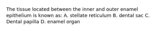 The tissue located between the inner and outer enamel epithelium is known as: A. stellate reticulum B. dental sac C. Dental papilla D. enamel organ