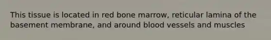 This tissue is located in red bone marrow, reticular lamina of the basement membrane, and around blood vessels and muscles