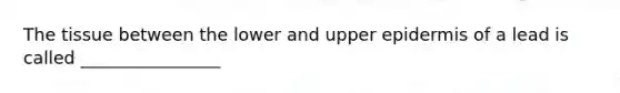 The tissue between the lower and upper epidermis of a lead is called ________________