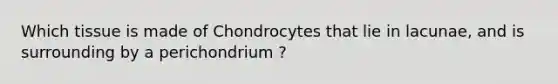 Which tissue is made of Chondrocytes that lie in lacunae, and is surrounding by a perichondrium ?