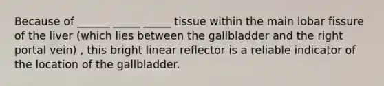 Because of ______ _____ _____ tissue within the main lobar fissure of the liver (which lies between the gallbladder and the right portal vein) , this bright linear reflector is a reliable indicator of the location of the gallbladder.