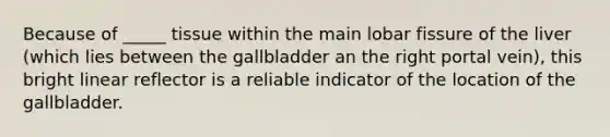 Because of _____ tissue within the main lobar fissure of the liver (which lies between the gallbladder an the right portal vein), this bright linear reflector is a reliable indicator of the location of the gallbladder.