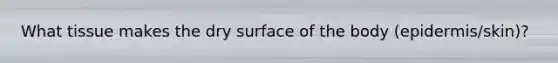 What tissue makes the dry surface of the body (epidermis/skin)?