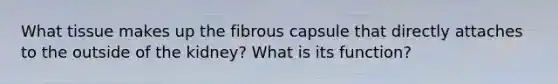 What tissue makes up the fibrous capsule that directly attaches to the outside of the kidney? What is its function?