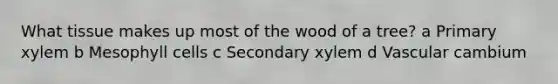 What tissue makes up most of the wood of a tree? a Primary xylem b Mesophyll cells c Secondary xylem d Vascular cambium