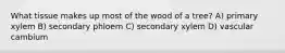 What tissue makes up most of the wood of a tree? A) primary xylem B) secondary phloem C) secondary xylem D) vascular cambium