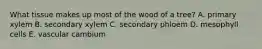 What tissue makes up most of the wood of a tree? A. primary xylem B. secondary xylem C. secondary phloem D. mesophyll cells E. vascular cambium