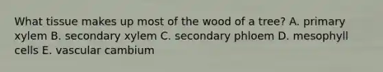 What tissue makes up most of the wood of a tree? A. primary xylem B. secondary xylem C. secondary phloem D. mesophyll cells E. vascular cambium